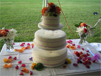 weddingcake6.jpg